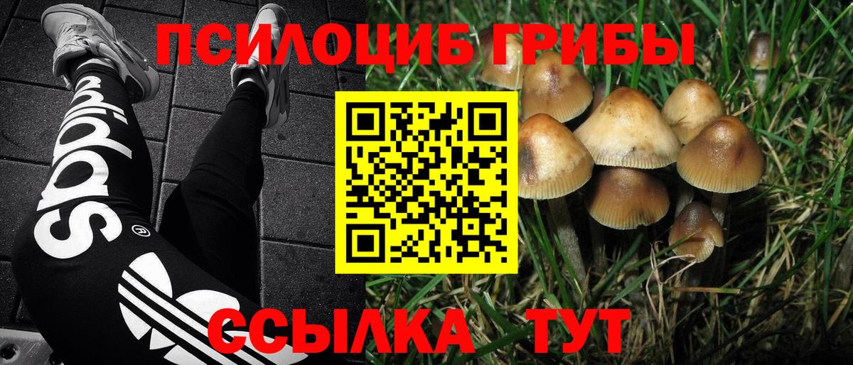 Галлюциногенные грибы Magic Shrooms  Вход с VPN  Красноперекопск 